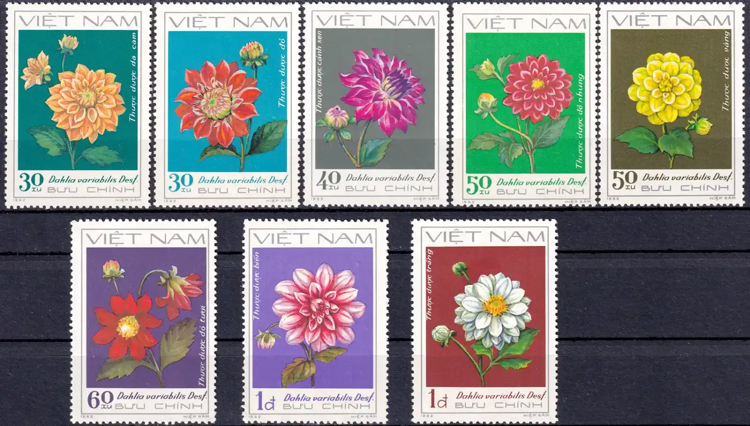 Vietnam 1982 Flowers - Dahlias (8v). MNH(**) Vietnam 1982 Flowers - Dahlias (8v). MNH(**)