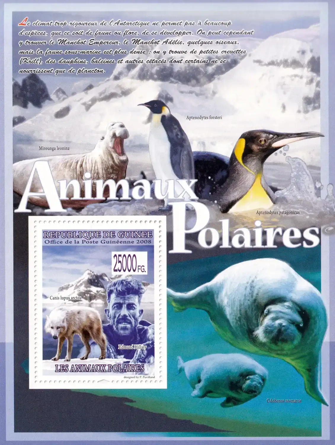Guinea 2008 Fauna - Polar Animals. (ss/1v). MNH(**) Guinea 2008 Fauna - Polar Animals. (ss/1v). MNH(**)