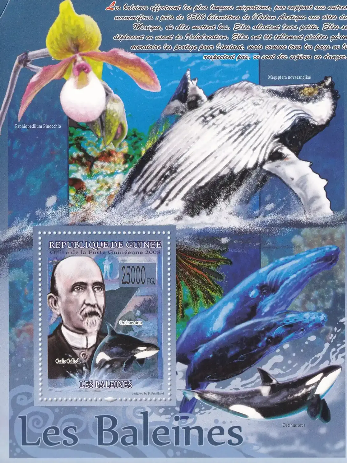 Guinea 2008 Fauna - Whales. (ss/1v). MNH(**) Guinea 2008 Fauna - Whales. (ss/1v). MNH(**)