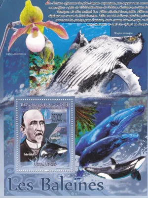 Guinea 2008 Fauna - Whales. (ss/1v). MNH(**)