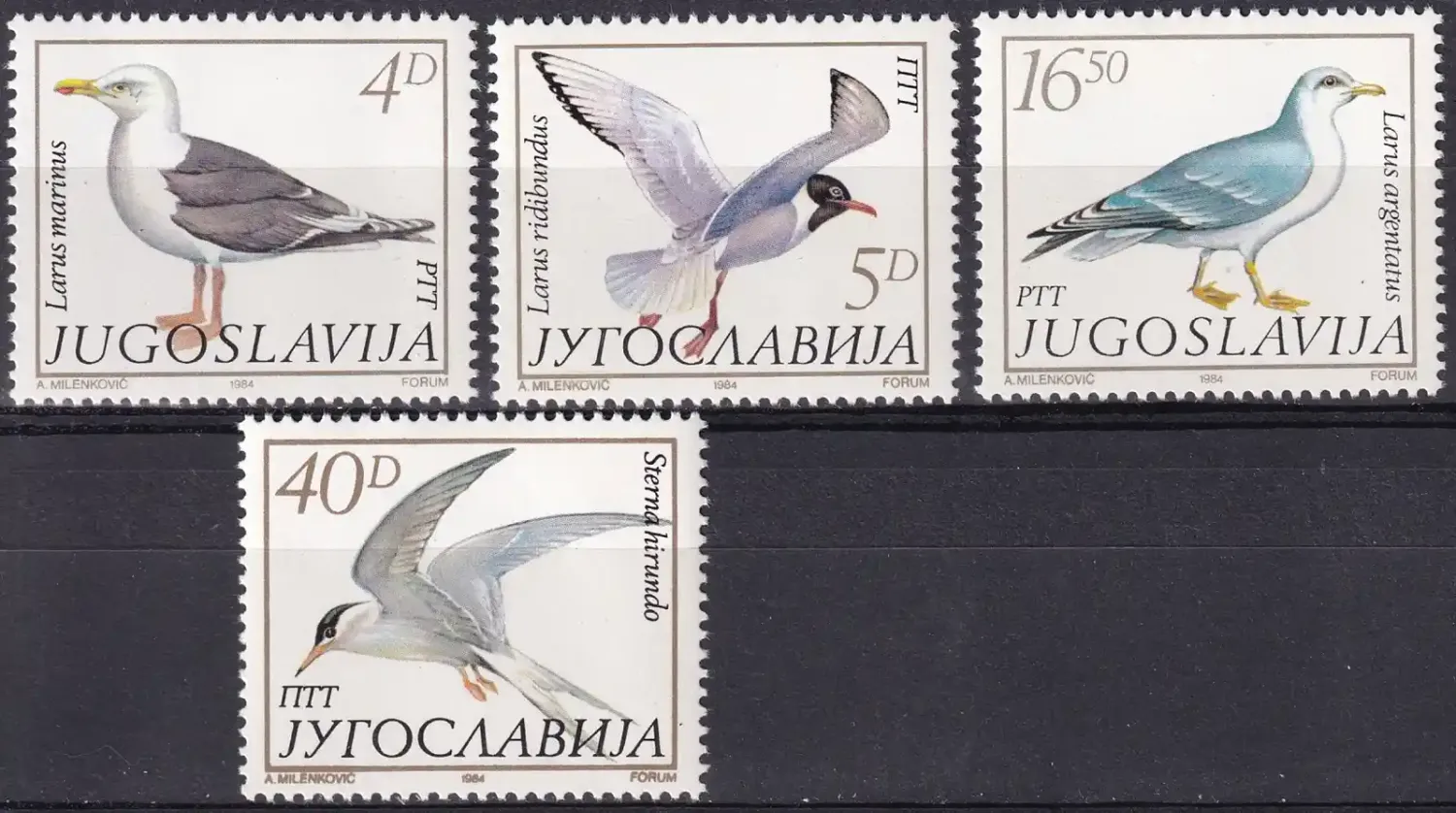 Yugoslavia 1984 Birds - Seagulls (4v). MNH(**) Yugoslavia 1984 Birds - Seagulls (4v). MNH(**)