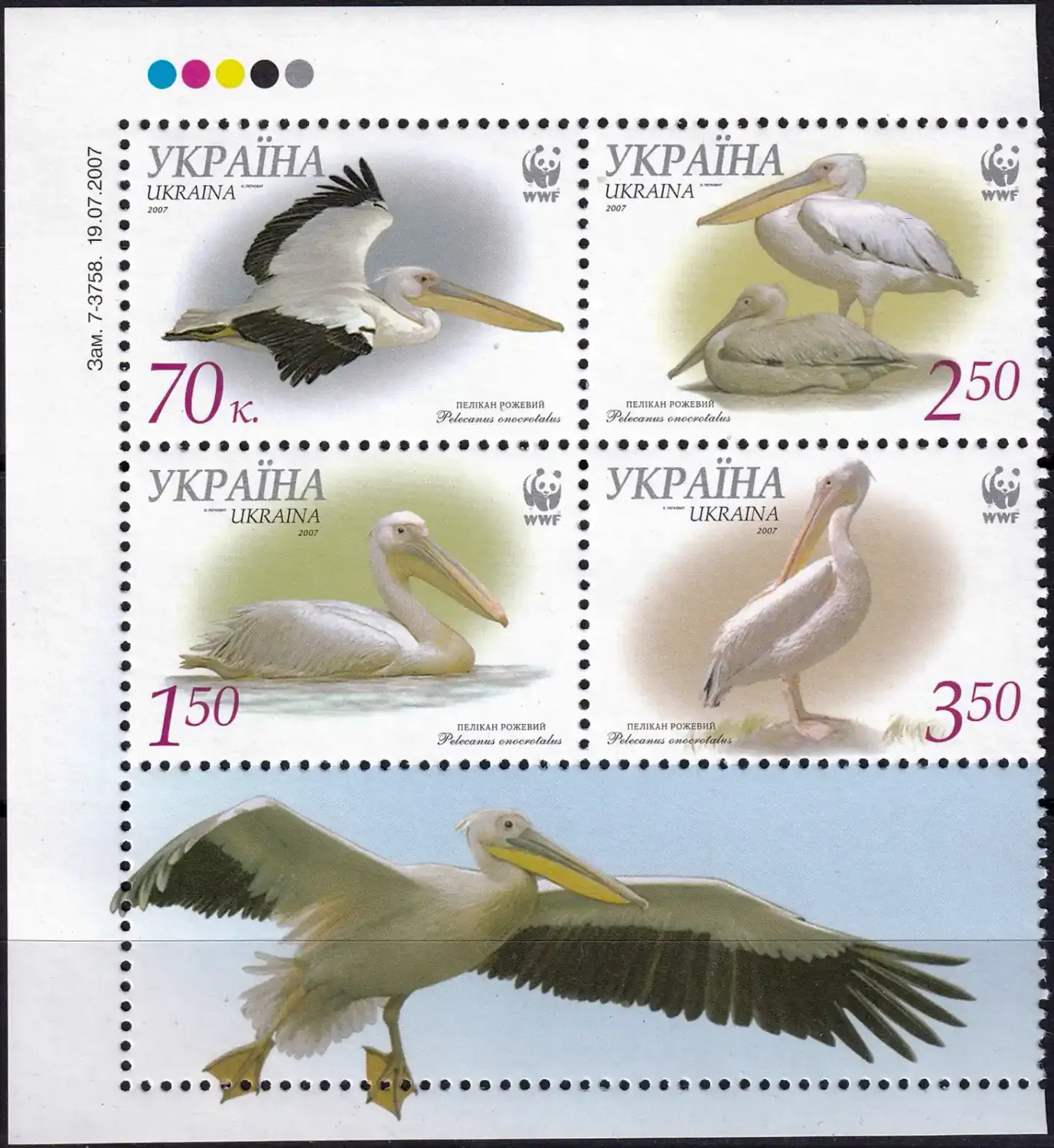 Ukraine 2007 WWF - Birds, Pelicans (blk/4v) MNH(**) Ukraine 2007 WWF - Birds, Pelicans (blk/4v) MNH(**)