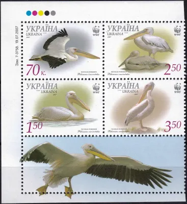 Ukraine 2007 WWF - Birds, Pelicans (blk/4v) MNH(**) Ukraine 2007 WWF - Birds, Pelicans (blk/4v) MNH(**)