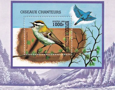 Togo 1999 Birds, Songbirds. (ss/1v)-MNH(**) Togo 1999 Birds, Songbirds. (ss/1v)-MNH(**)