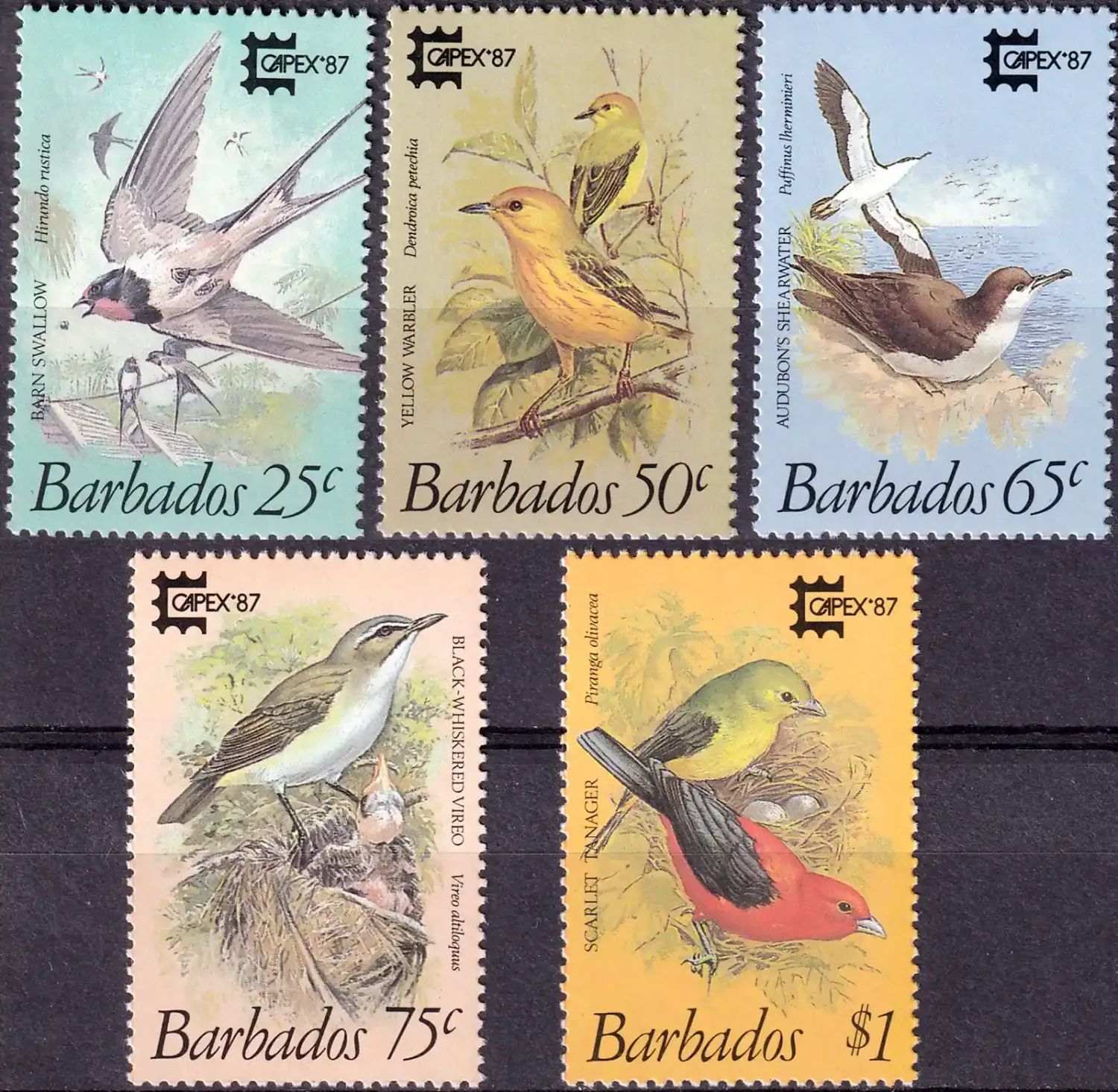 Barbados 1987 Int Stamp Exhibition "Capex '87" - Toronto, Canada - Birds (5v). MNH(**) Barbados 1987 Int Stamp Exhibition "Capex '87" - Toronto, Canada - Birds (5v). MNH(**)