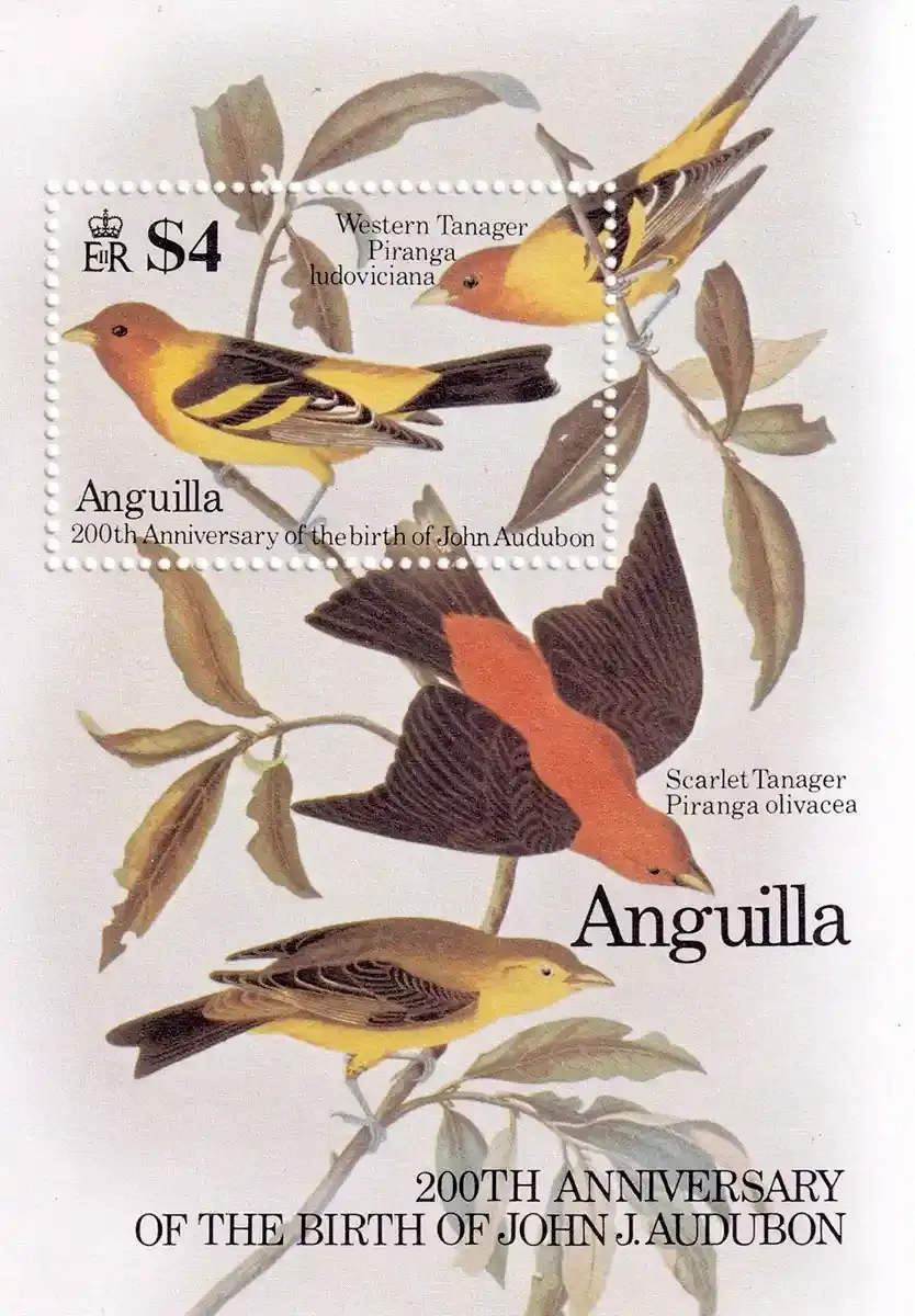 Anguilla 1985 Birth of John James Audubon - Birds (ss/1v). MNH(**) Anguilla 1985 Birth of John James Audubon - Birds (ss/1v). MNH(**)