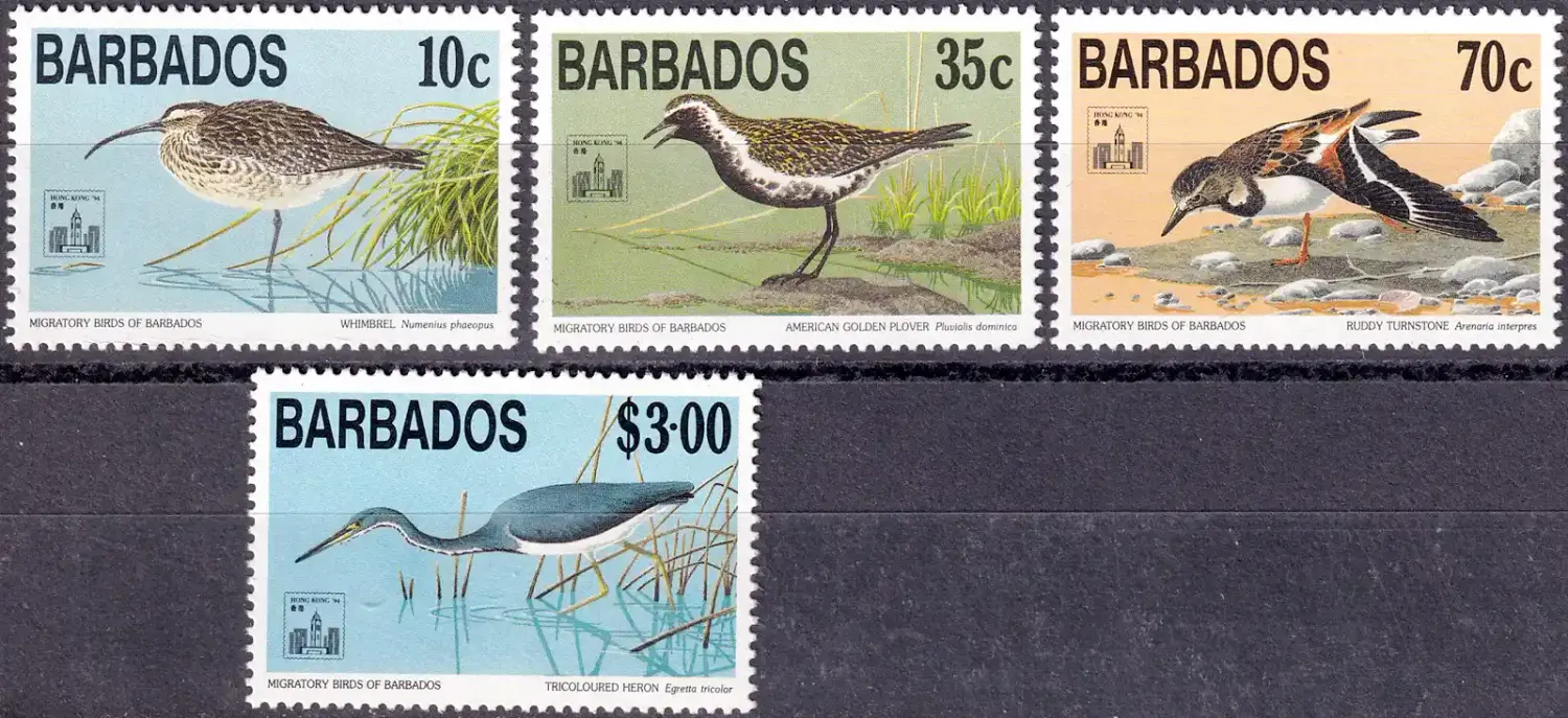 Barbados 1994 Int Stamp Exhibition "Hong Kong '94" - Migratory Birds (4v). MNH(**) Barbados 1994 Int Stamp Exhibition "Hong Kong '94" - Migratory Birds (4v). MNH(**)