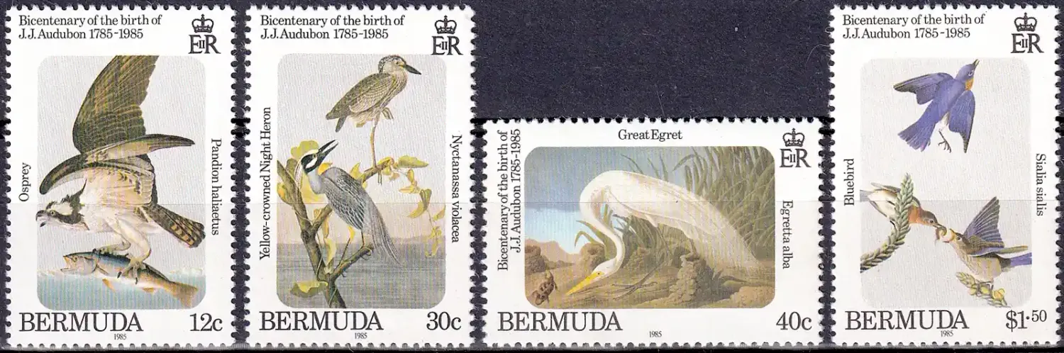 Bermuda 1985 Birds - Anniv of the Birth of John J. Audubon (4v). MNH(**) Bermuda 1985 Birds - Anniv of the Birth of John J. Audubon (4v). MNH(**)
