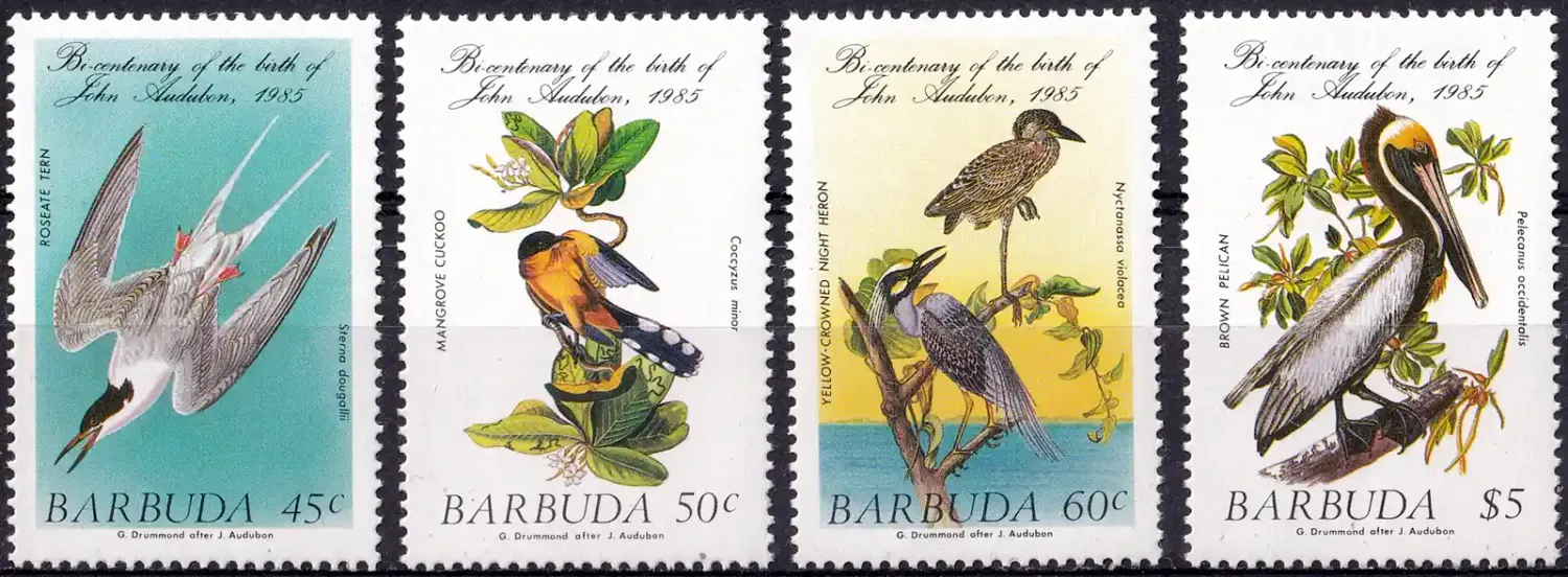 Barbuda 1985 Birds - Birth of John J. Audubon (4v). MNH(**) Barbuda 1985 Birds - Birth of John J. Audubon (4v). MNH(**)