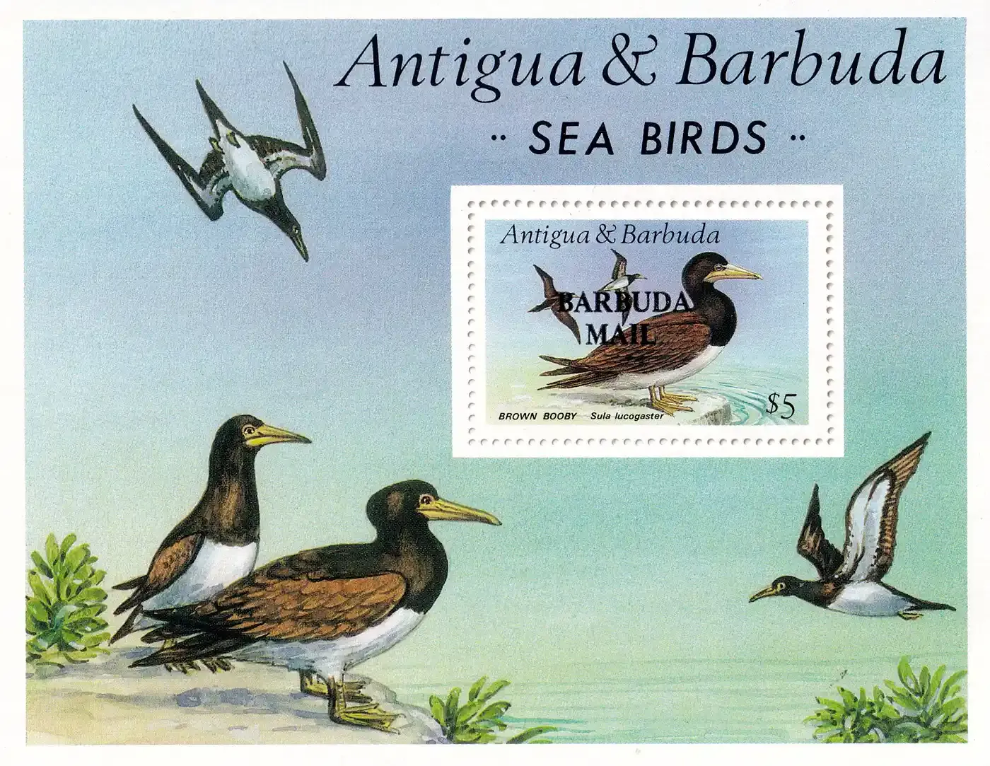 Barbuda 1987 Sea Birds - Overprinted "BARBUDA MAIL" (ss/1v). MNH(**)