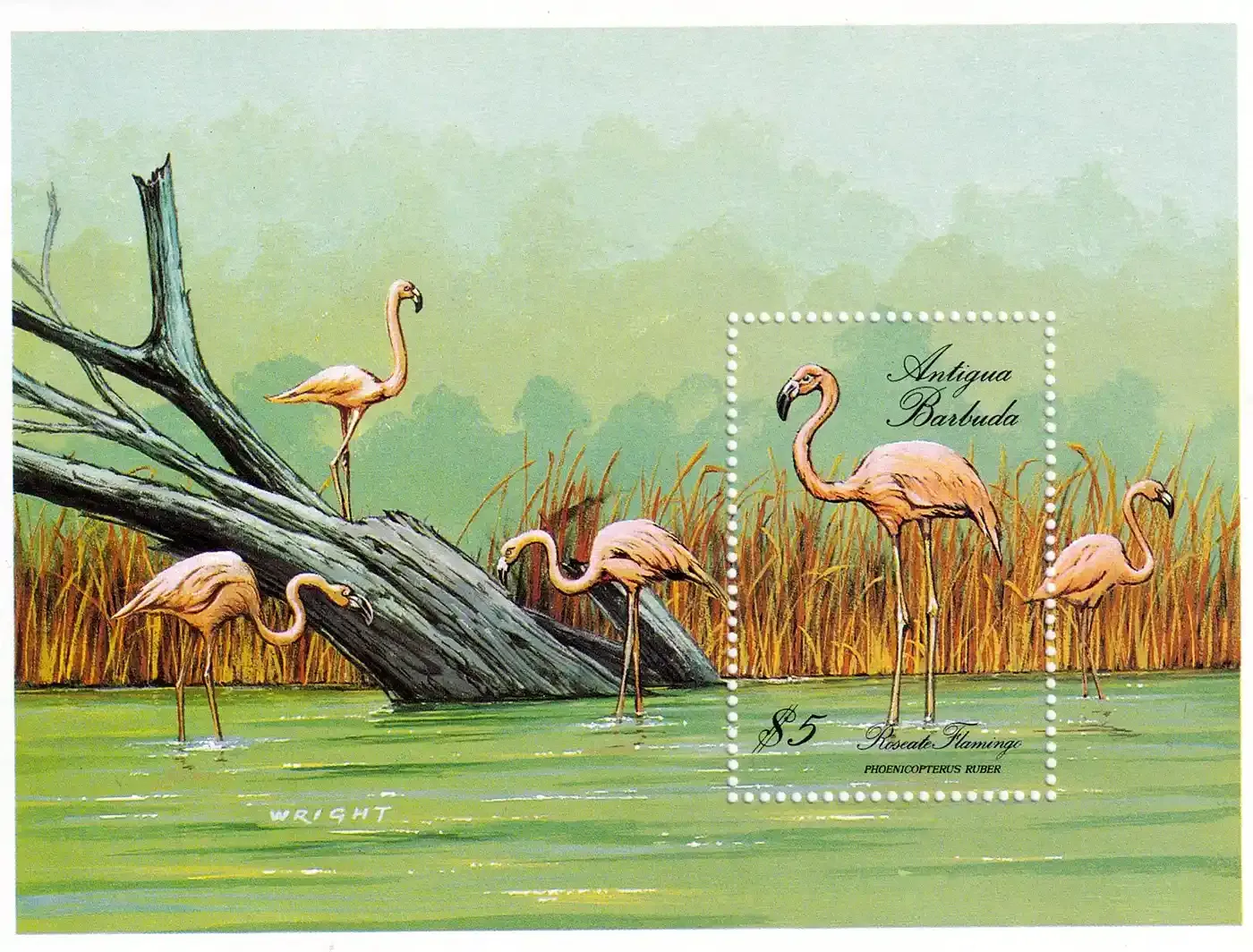 Antigua & Barbuda 1988 Birds - (ss/1v). MNH(**) Antigua & Barbuda 1988 Birds - (ss/1v). MNH(**)