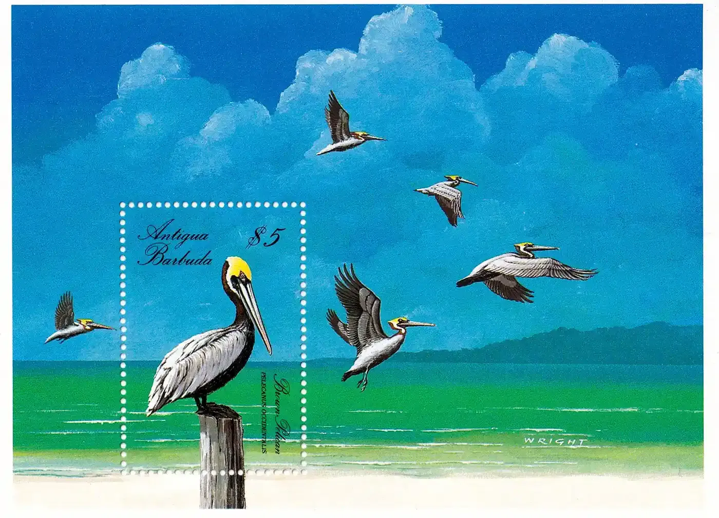 Antigua & Barbuda 1988 Birds - (ss/1v). MNH(**) Antigua & Barbuda 1988 Birds - (ss/1v). MNH(**)