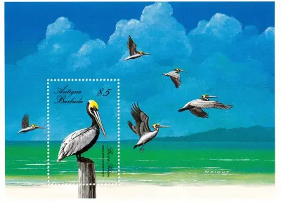 Antigua & Barbuda 1988 Birds - (ss/1v). MNH(**) Antigua & Barbuda 1988 Birds - (ss/1v). MNH(**)