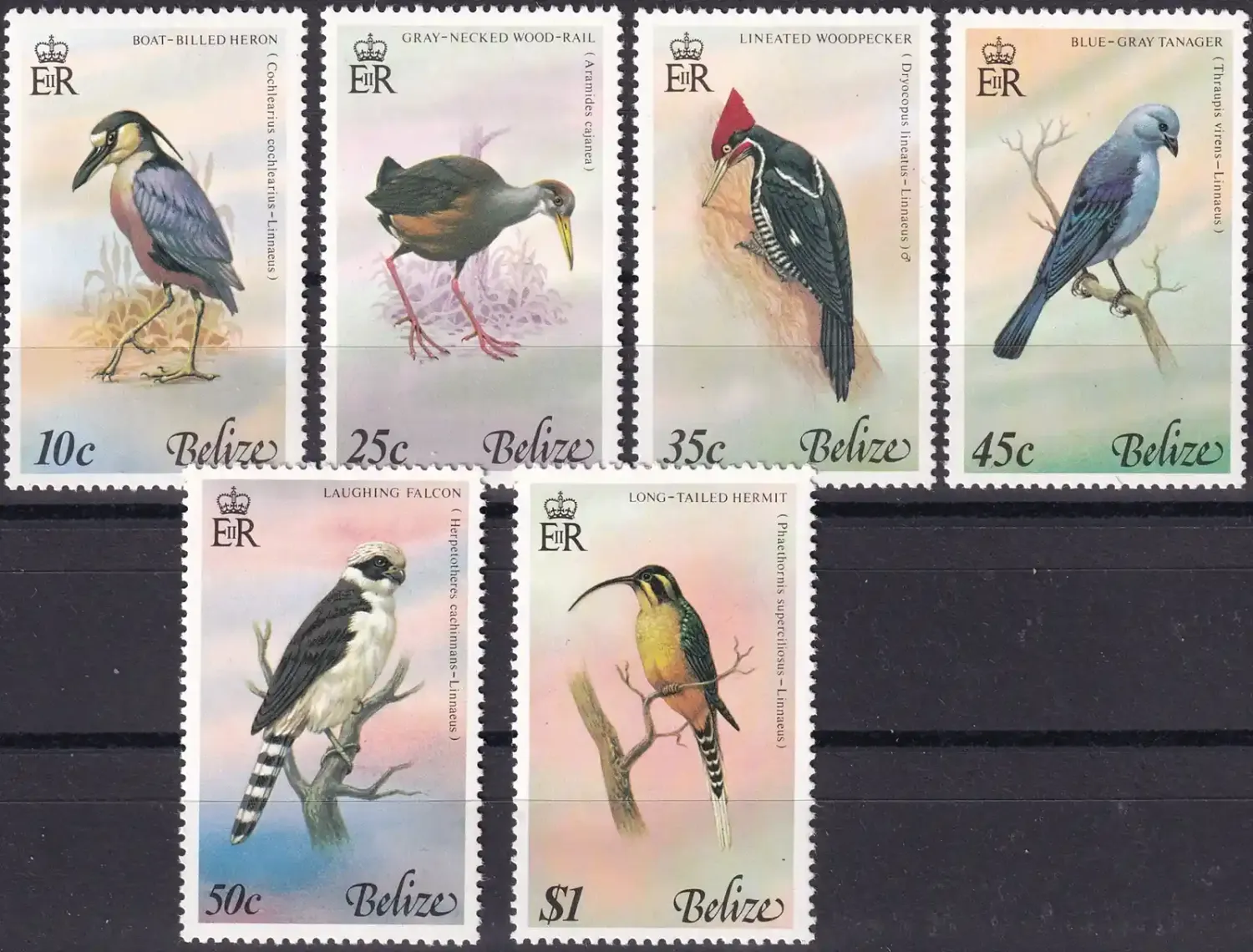 Belize 1978 Birds (6v). MNH (**) Belize 1978 Birds (6v). MNH (**)