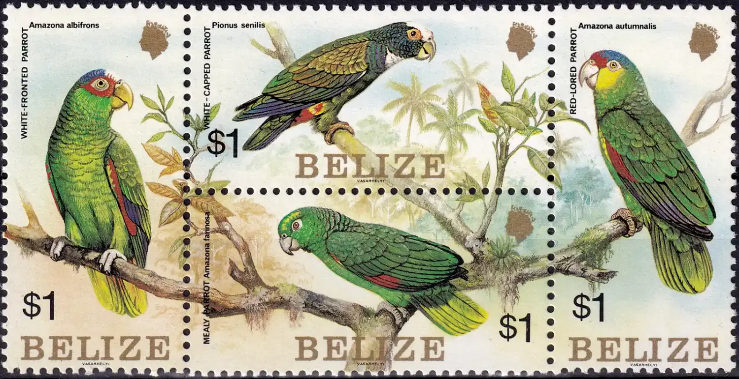 Belize 1984 Parrots (4v). MNH (**) Belize 1984 Parrots (4v). MNH (**)