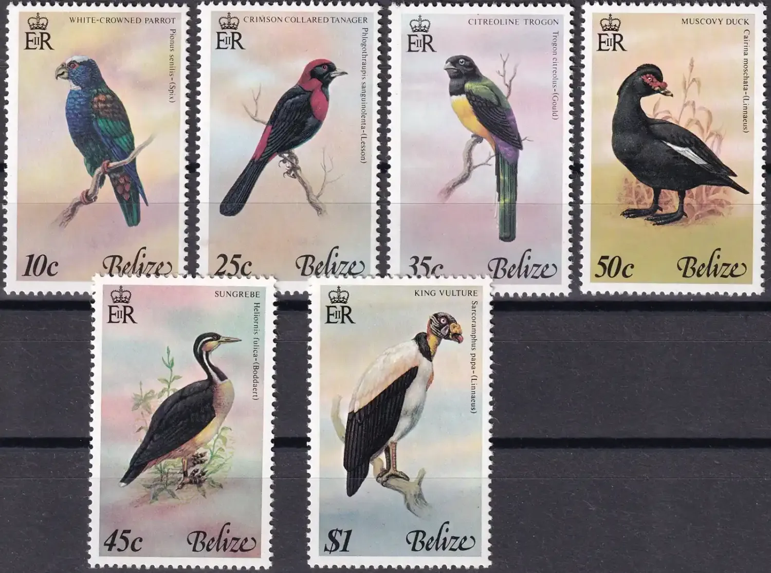 Belize 1979 Birds (6v). MNH (**) Belize 1979 Birds (6v). MNH (**)