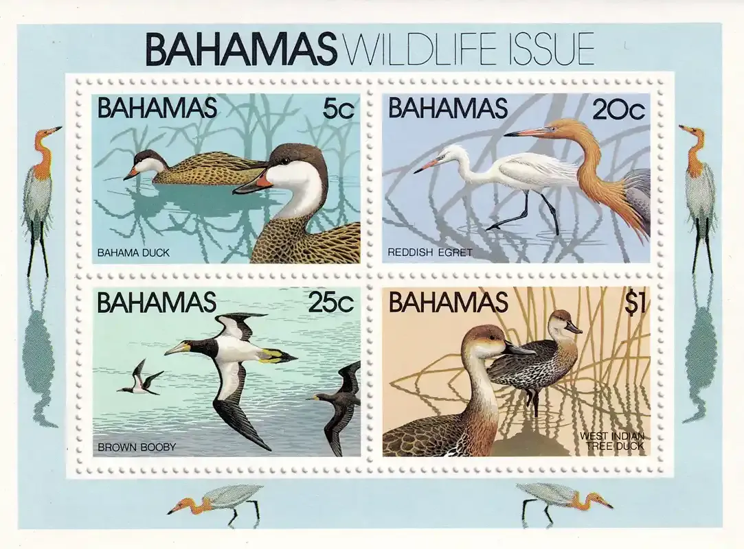 Bahamas 1981 Wildlife - Birds (ss/v4)-MNH(**)
