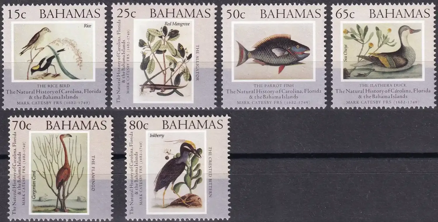Bahamas 2002 Birds. (6v)-MNH(**) Bahamas 2002 Birds. (6v)-MNH(**)