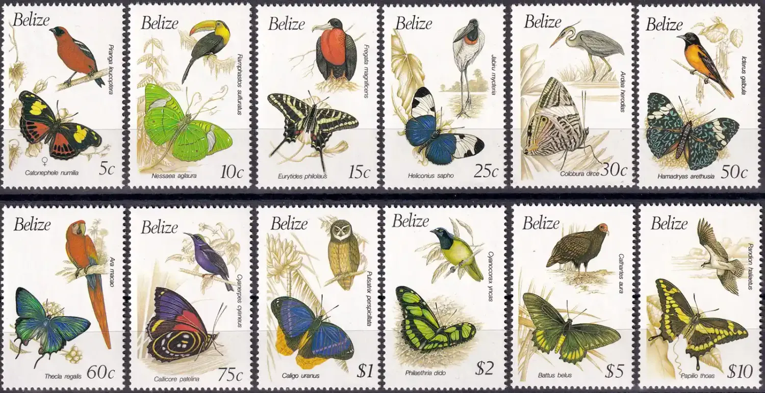 Belize 1990 Birds and Butterflies (12v). MNH(**) Belize 1990 Birds and Butterflies (12v). MNH(**)