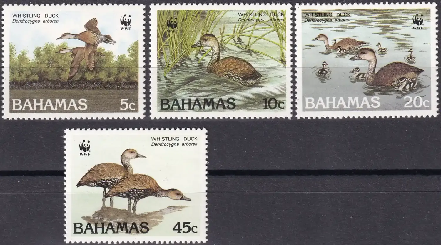 Bahamas 1988 Birds - (WWF) West Indian Whistling Duck. (4v)-MNH(**) Bahamas 1988 Birds - (WWF) West Indian Whistling Duck. (4v)-MNH(**)