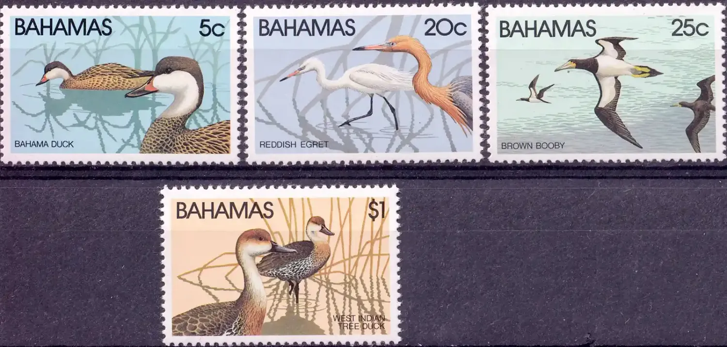 Bahamas 1981 Wildlife - Birds (v4)-MNH(**) Bahamas 1981 Wildlife - Birds (v4)-MNH(**)
