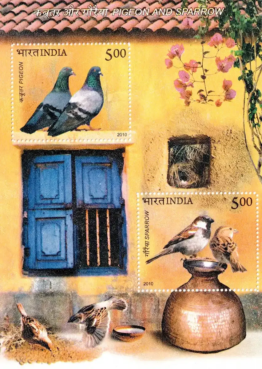 India 2010 Pigeon and Sparrow (ss/2v). MNH(**) India 2010 Pigeon and Sparrow (ss/2v). MNH(**)