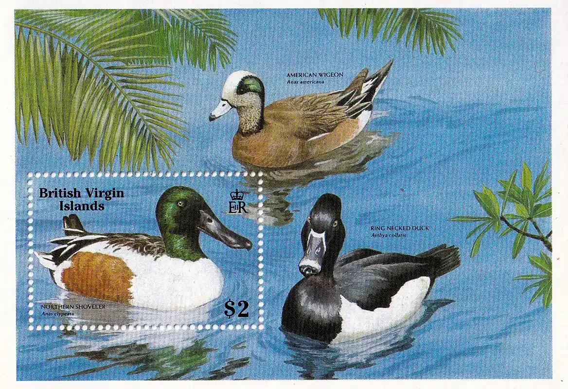 British Virgin Islands 1988 World Wildlife Fund - Birds, Ducks (ss/v1)-MNH(**) British Virgin Islands 1988 World Wildlife Fund - Birds, Ducks (ss/v1)-MNH(**)