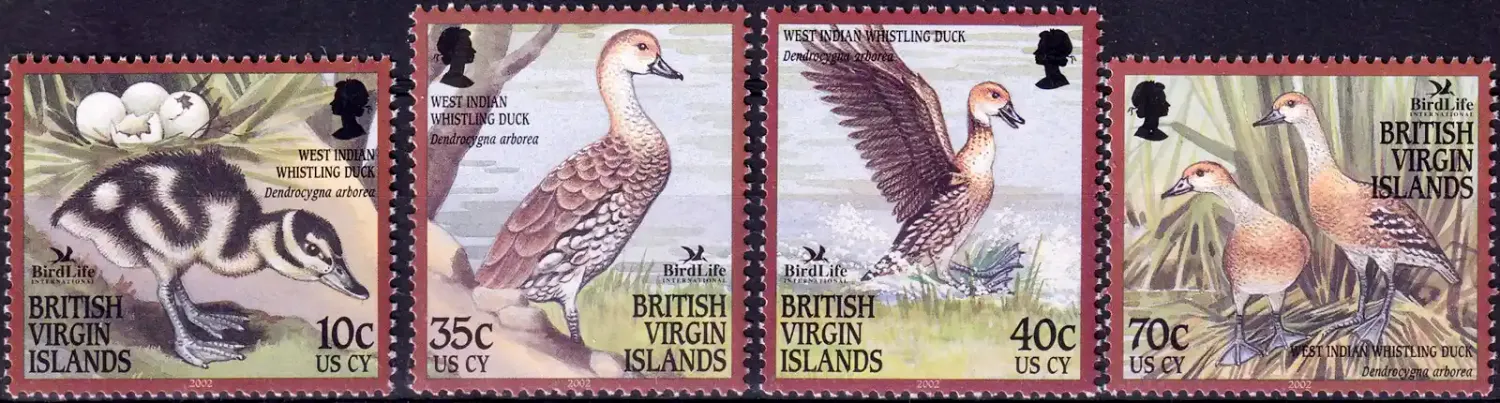 British Virgin Islands 2002 BirdLife International - The West Indian Whistling Duck (4v)-MNH(**) British Virgin Islands 2002 BirdLife International - The West Indian Whistling Duck (4v)-MNH(**)