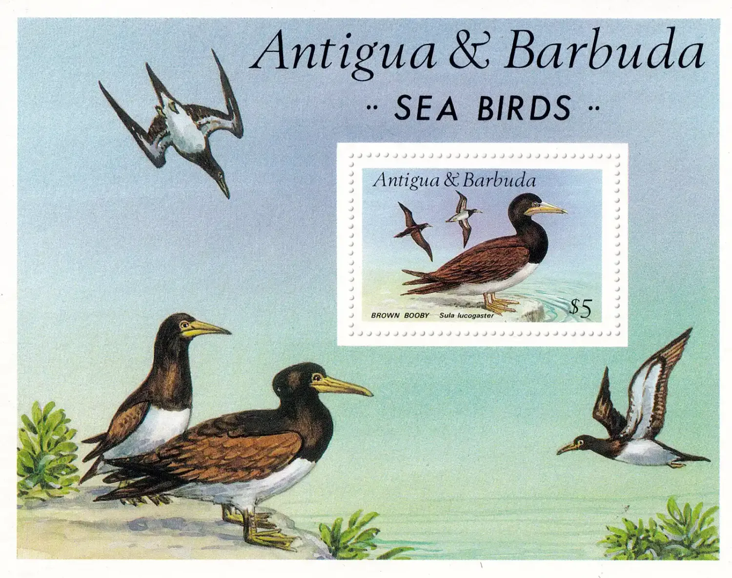 Antigua & Barbuda 1987 WWF - Seabirds - (ss/1v). MNH(**) Antigua & Barbuda 1987 WWF - Seabirds - (ss/1v). MNH(**)