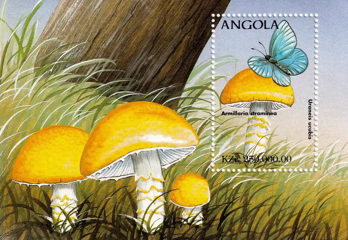 Angola 1998 Butterflies, Mushrooms. (ss/1v) MNH(**) Angola 1998 Butterflies, Mushrooms. (ss/1v) MNH(**)