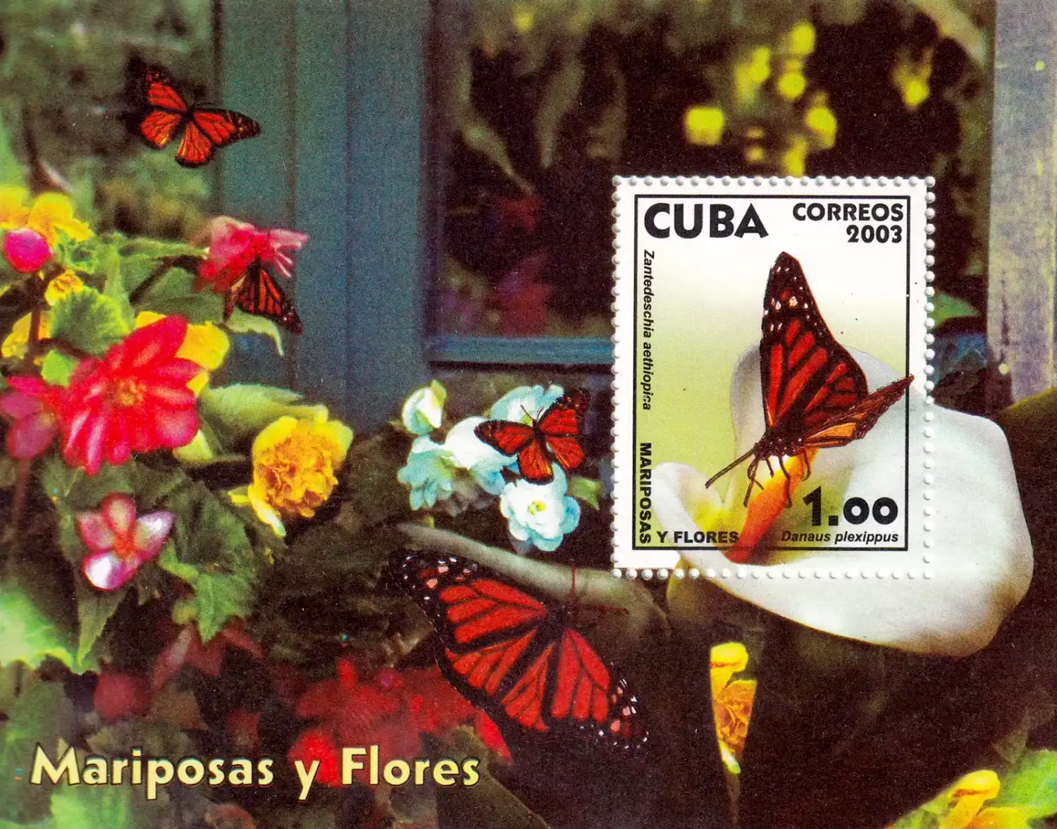 Cuba 2003 Butterflies (ss/1v). MNH (**) Cuba 2003 Butterflies (ss/1v). MNH (**)