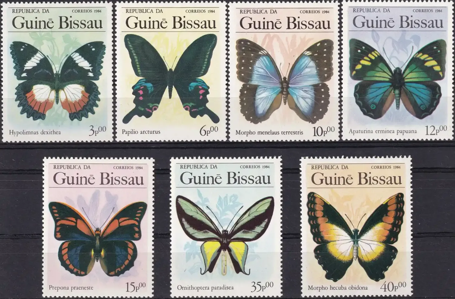 Guinea-Bissau 1984 Butterflies and Moths (7v). MNH(**) Guinea-Bissau 1984 Butterflies and Moths (7v). MNH(**)