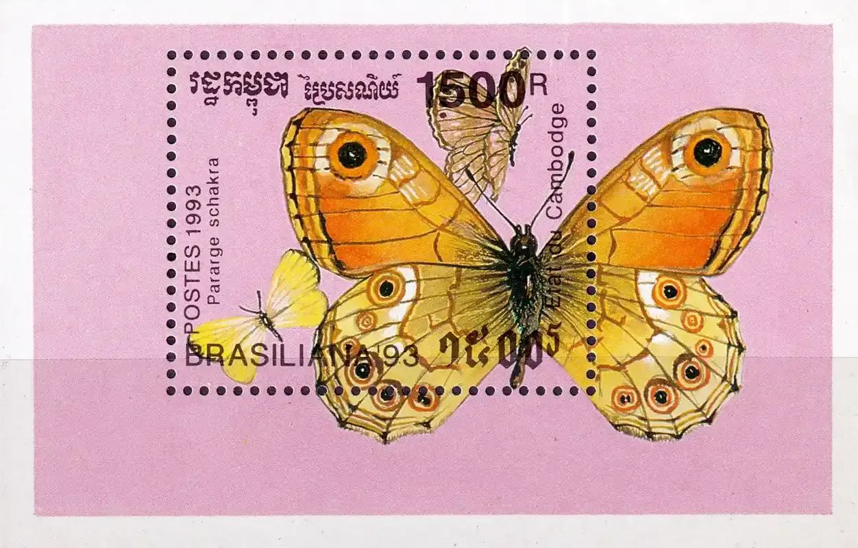 Cambodia 1993 Int Stamp Exhibition "Brasiliana '93" - Rio de Janeiro, Brazil - Butterflies (ss/1v) MNH(**)