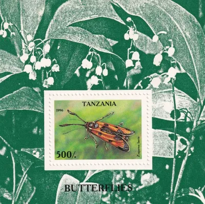 Tanzania 1996 Butterflies (ss/1v) MNH(**) Tanzania 1996 Butterflies (ss/1v) MNH(**)
