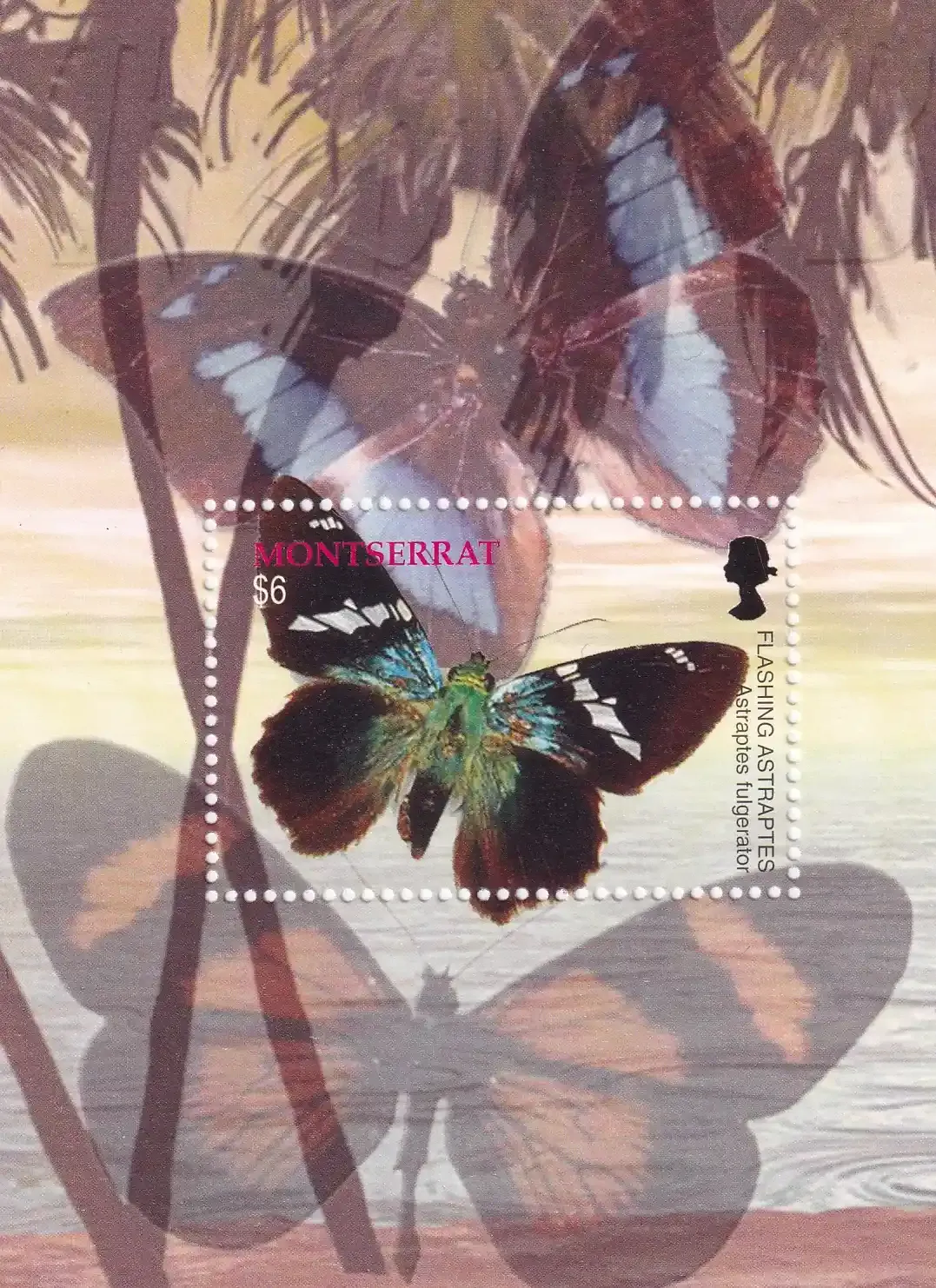 Montserrat 2004 Butterflies (ss/1v) - MNH(**) Montserrat 2004 Butterflies (ss/1v) - MNH(**)