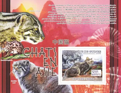 Guinea 2008 Cats of Asia. (ss/1v). MNH(**)