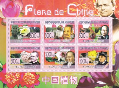 Guinea 2008 Flora of China. (ss/6v). MNH(**) Guinea 2008 Flora of China. (ss/6v). MNH(**)