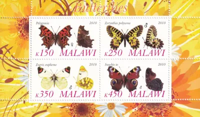 Malawi 2010 Butterflies (ss/4v). MNH Malawi 2010 Butterflies (ss/4v). MNH