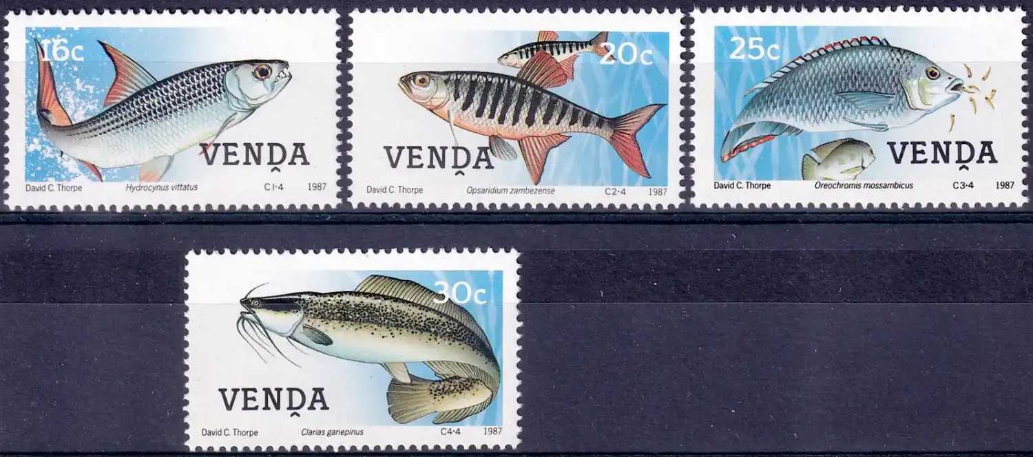 Venda 1987 Freshwater Fish (4v). MNH(**) Venda 1987 Freshwater Fish (4v). MNH(**)