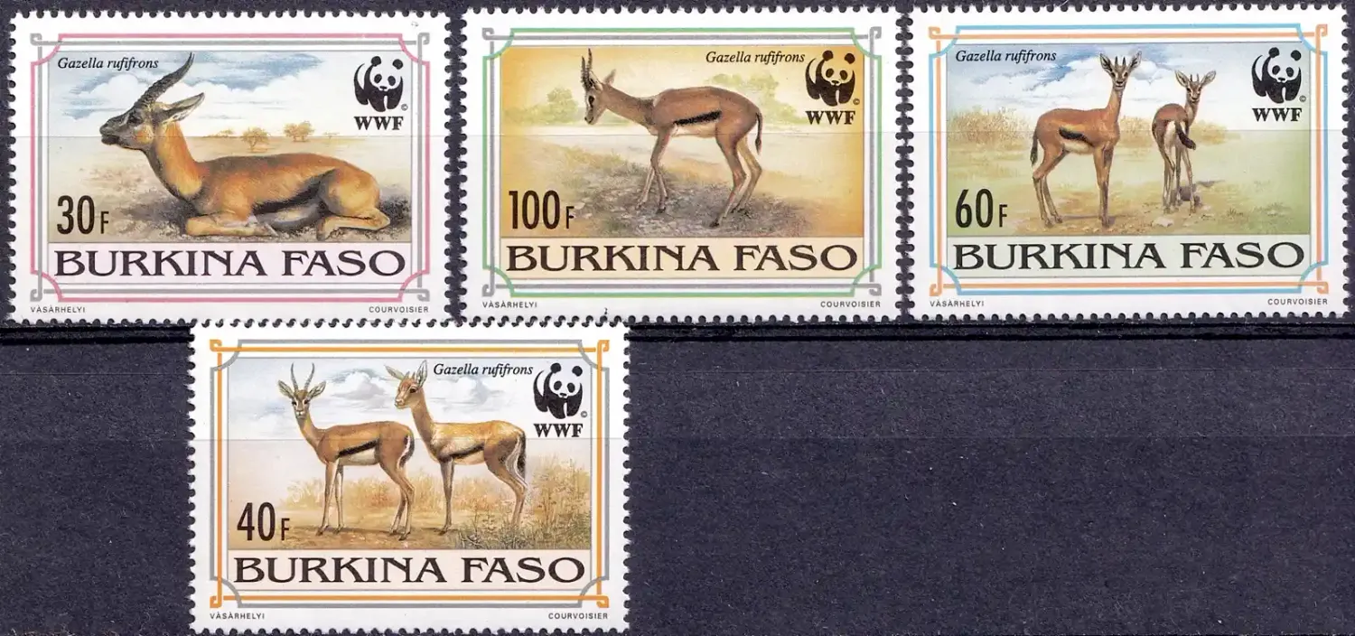 Burkina Faso 1993 WWF, Mammals. The Red-fronted Gazelle, MNH(**) Burkina Faso 1993 WWF, Mammals. The Red-fronted Gazelle, MNH(**)