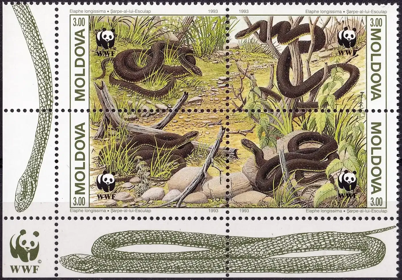 Moldova 1993 WWF - Snakes. MNH(**) Moldova 1993 WWF - Snakes. MNH(**)