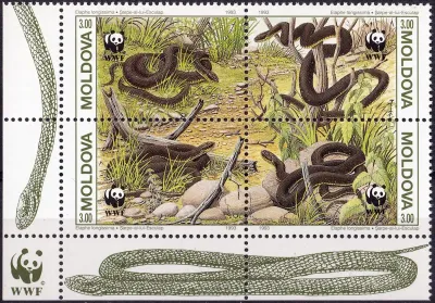 Moldova 1993 WWF - Snakes. MNH(**) Moldova 1993 WWF - Snakes. MNH(**)