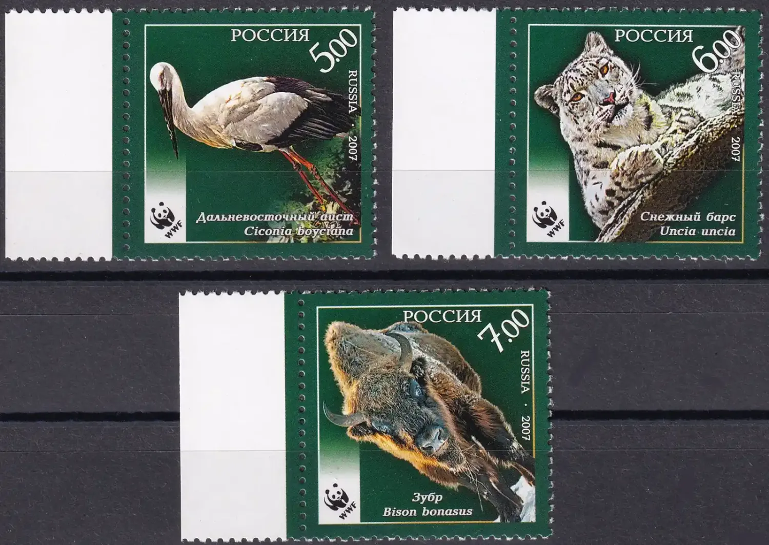 Russia 2007 WWF - Rare Animals, Birds & Mammals. (3v)-MNH(**) Russia 2007 WWF - Rare Animals, Birds & Mammals. (3v)-MNH(**)