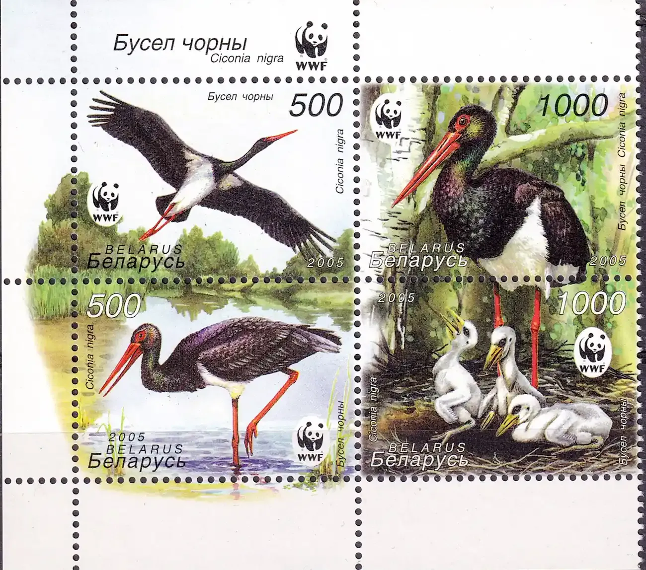Belarus 2005 WWF - Black Stork. Birds (4v)-MNH(**) Belarus 2005 WWF - Black Stork. Birds (4v)-MNH(**)