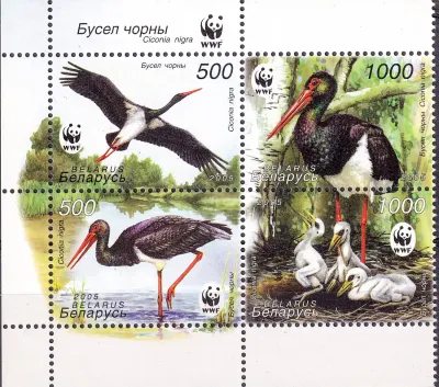 Belarus 2005 WWF - Black Stork. Birds (4v)-MNH(**) Belarus 2005 WWF - Black Stork. Birds (4v)-MNH(**)
