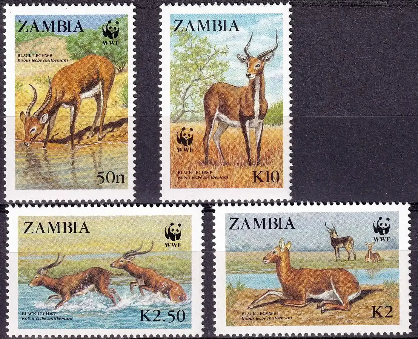Zambia 1987 WWF - The Lechwe Antelope. Mammals (4v). MNH(**) Zambia 1987 WWF - The Lechwe Antelope. Mammals (4v). MNH(**)