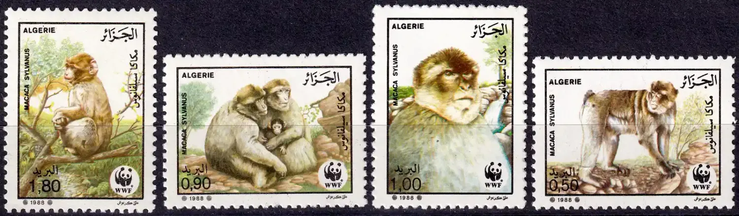 Algeria 1988 WWF - Barbary Ape, Mammals (4v) MNH(**) Algeria 1988 WWF - Barbary Ape, Mammals (4v) MNH(**)