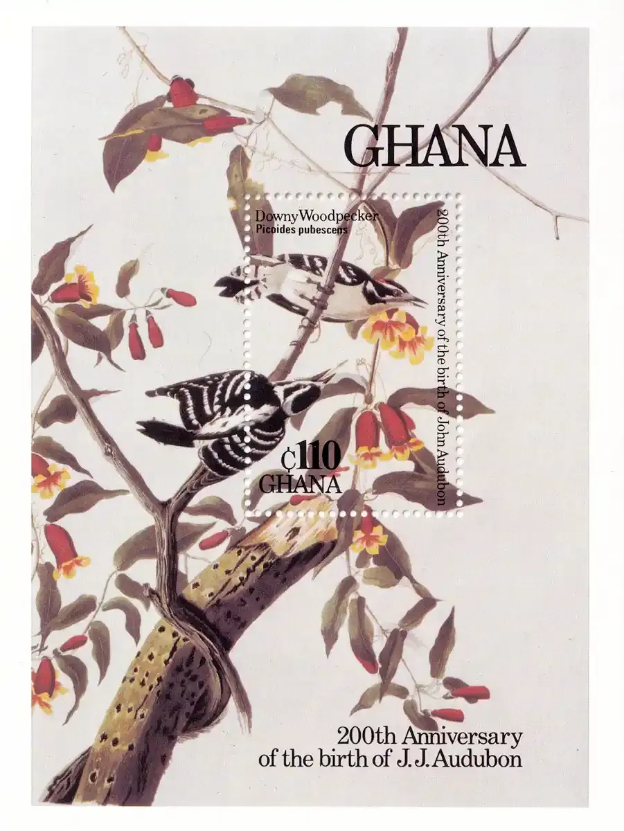 Ghana 1985 Birds - The 200th Anniv of the Birth of John J. Audubon, 1785-1851 (ss/1v). MNH(**) Ghana 1985 Birds - The 200th Anniv of the Birth of John J. Audubon, 1785-1851 (ss/1v). MNH(**)