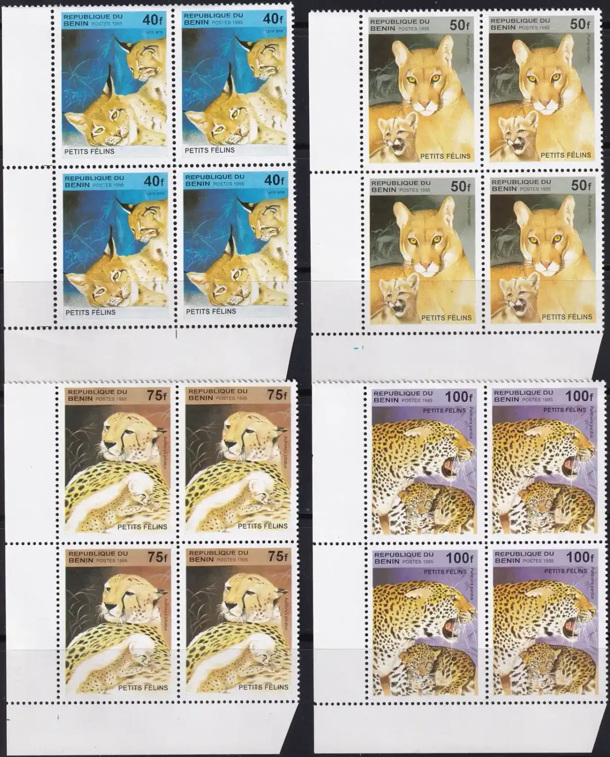Benin 1995 Big Cats and Their Young, Lions, Tigers (Blocks of 4) - (6v). MNH(**) Benin 1995 Big Cats and Their Young, Lions, Tigers (Blocks of 4) - (6v). MNH(**)