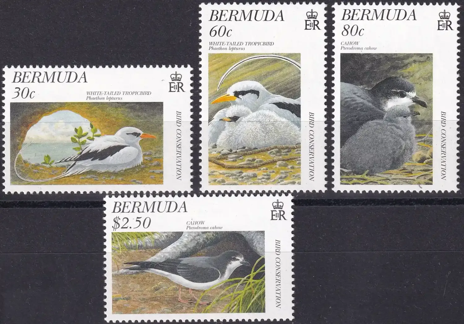 Bermuda 1997 Bird Conservation (4v). MNH(**)